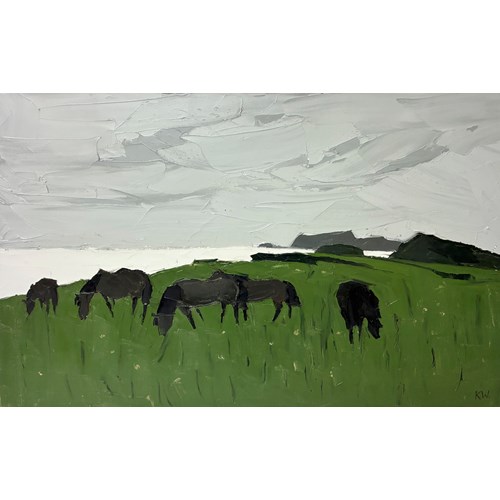 Ponies, Porth Dafarch